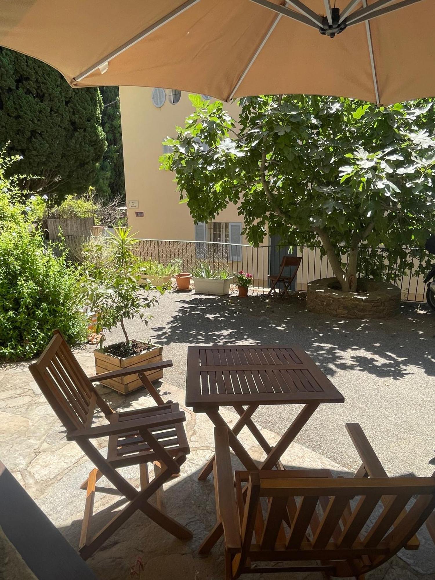 Cosy Studio - Place Du Figuier บอร์มส์-เลส์-มิโมซาส์ ภายนอก รูปภาพ