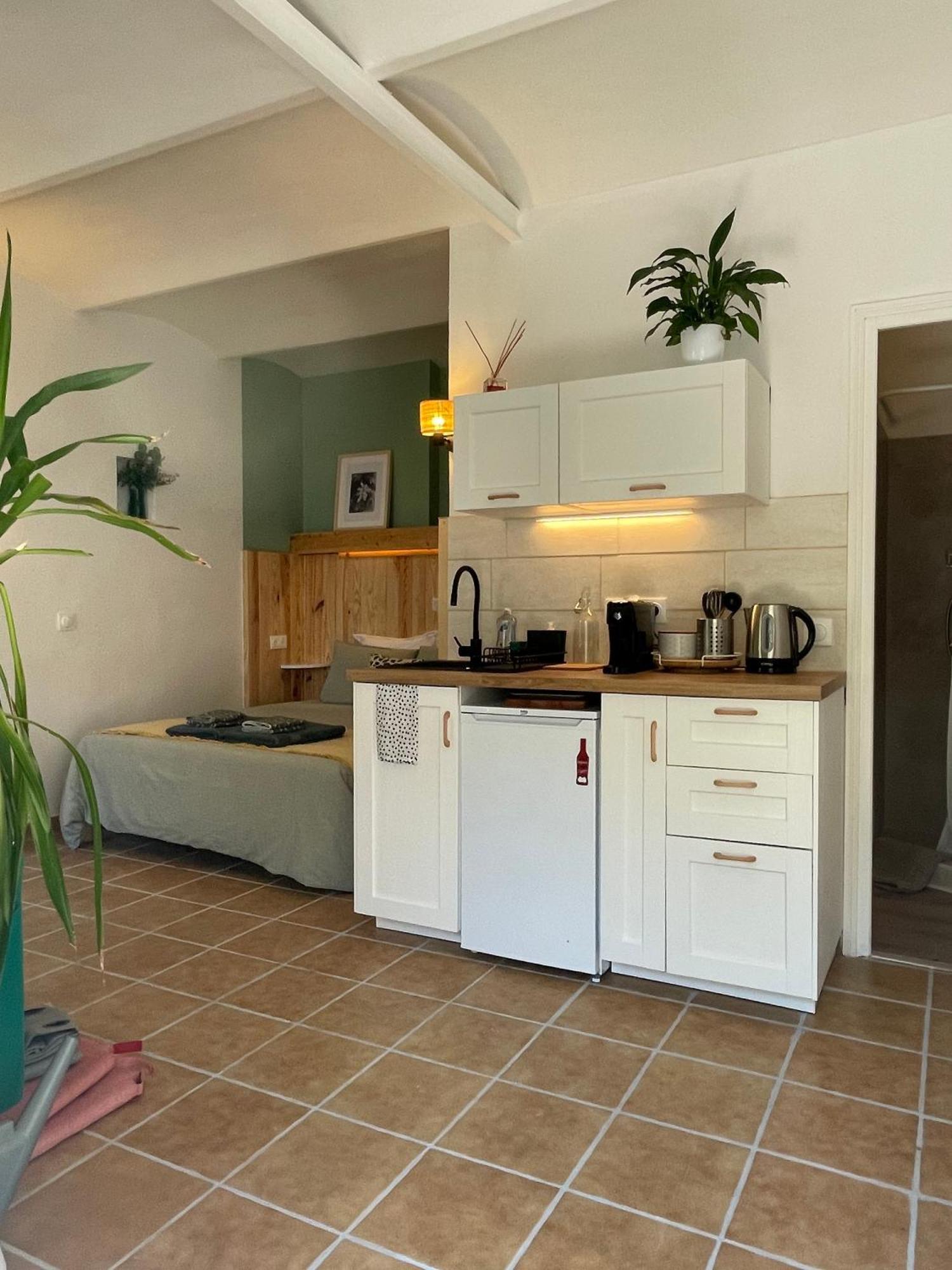 Cosy Studio - Place Du Figuier บอร์มส์-เลส์-มิโมซาส์ ภายนอก รูปภาพ